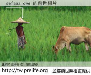 sefaaz cwe 的前世相片