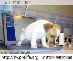 sjl 的前世相片