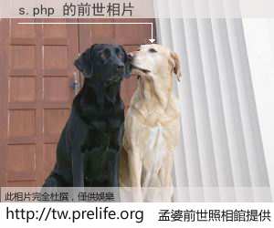s.php 的前世相片