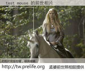 test mouse 的前世相片