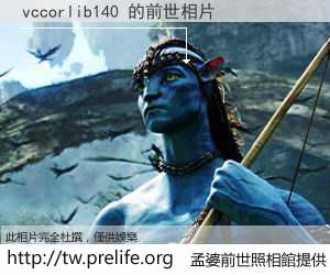 vccorlib140 的前世相片