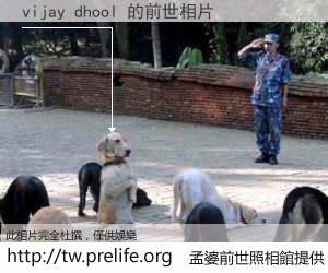 vijay dhool 的前世相片