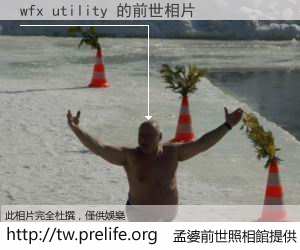 wfx utility 的前世相片