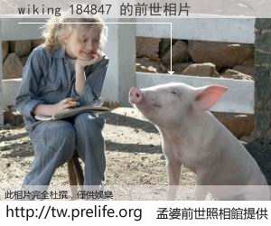 wiking 184847 的前世相片