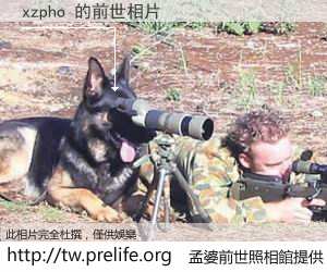 xzpho 的前世相片