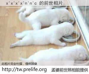 x'x'x'x'n'n'c 的前世相片