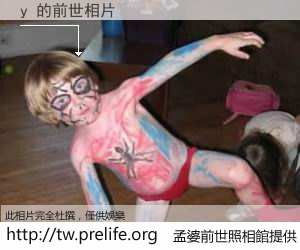 y 的前世相片