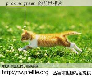 pickle green 的前世相片