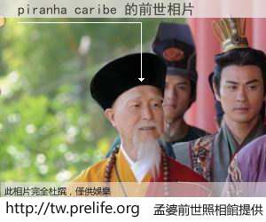 piranha caribe 的前世相片