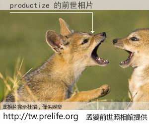 productize 的前世相片