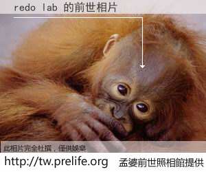 redo lab 的前世相片