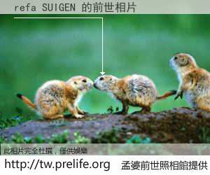 refa SUIGEN 的前世相片