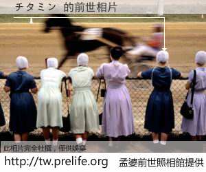 チタミン 的前世相片