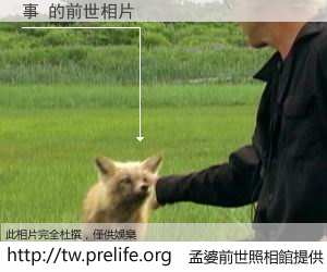 事 的前世相片