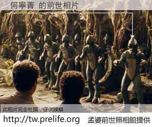 何寧菁 的前世相片