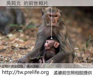 吳筠元 的前世相片