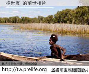 楊世真 的前世相片