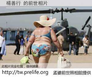 楊善行 的前世相片