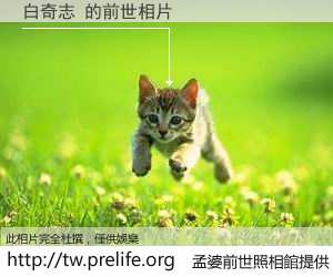 白奇志 的前世相片