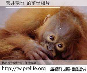 菅井竜也 的前世相片