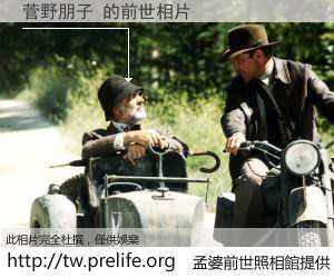 菅野朋子 的前世相片