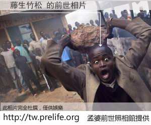 藤生竹松 的前世相片
