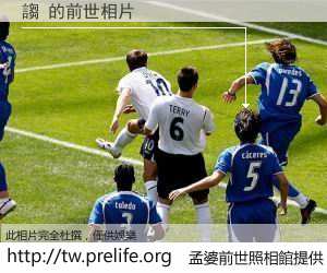 謅 的前世相片