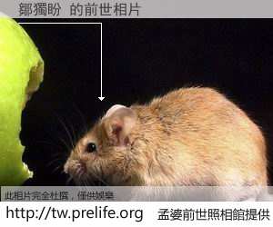 鄒獨盼 的前世相片