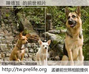 陳德哲 的前世相片