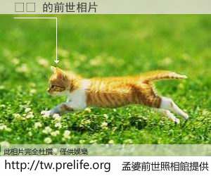 도커 的前世相片