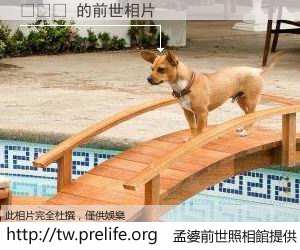 박민지 的前世相片