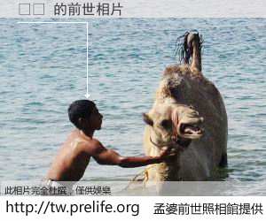 수조 的前世相片