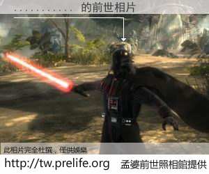 ........... 的前世相片