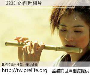 2233 的前世相片