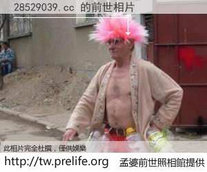 28529039.cc 的前世相片
