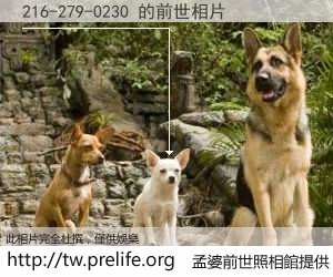216-279-0230 的前世相片