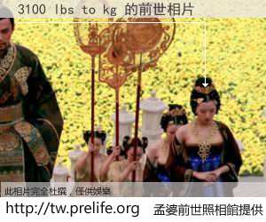 3100 lbs to kg 的前世相片