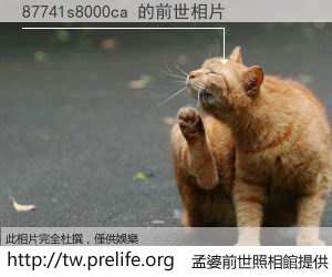 87741s8000ca 的前世相片