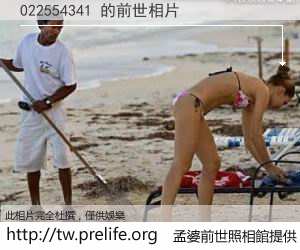 022554341 的前世相片