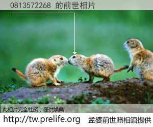 0813572268 的前世相片