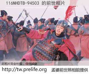 116NHDTB-94503 的前世相片