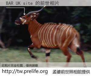 BAR UK site 的前世相片
