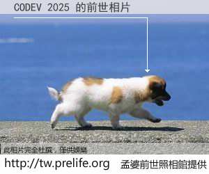 CODEV 2025 的前世相片