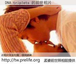 DNA triplets 的前世相片