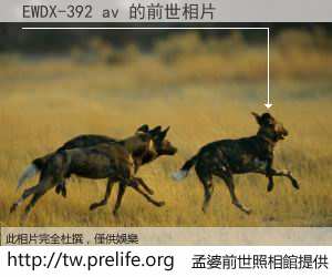 EWDX-392 av 的前世相片