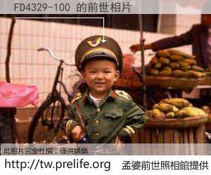 FD4329-100 的前世相片