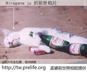 Hiragana ju 的前世相片