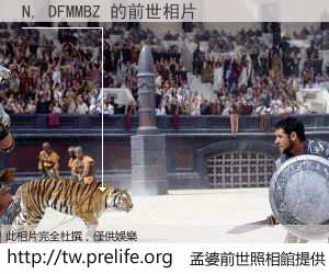 N, DFMMBZ 的前世相片