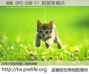 ABB CP2-20B-11 的前世相片