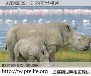 AVENGERS: E 的前世相片